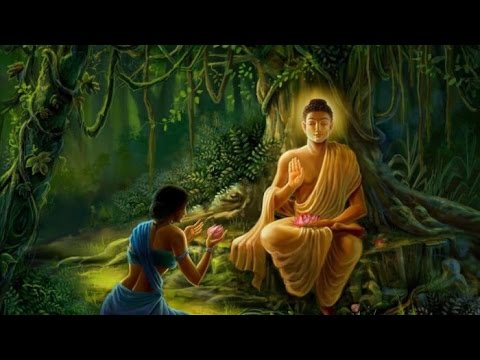 Phật dạy Thiện Ác Báo Ứng