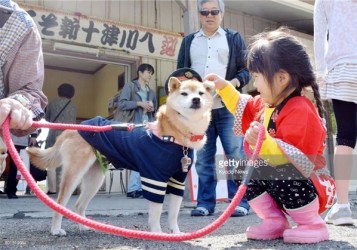 Trưởng Ga Tàu Hokkaido là ... Một Chú Chó !