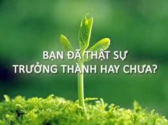 Bạn đã trưởng thành chưa?