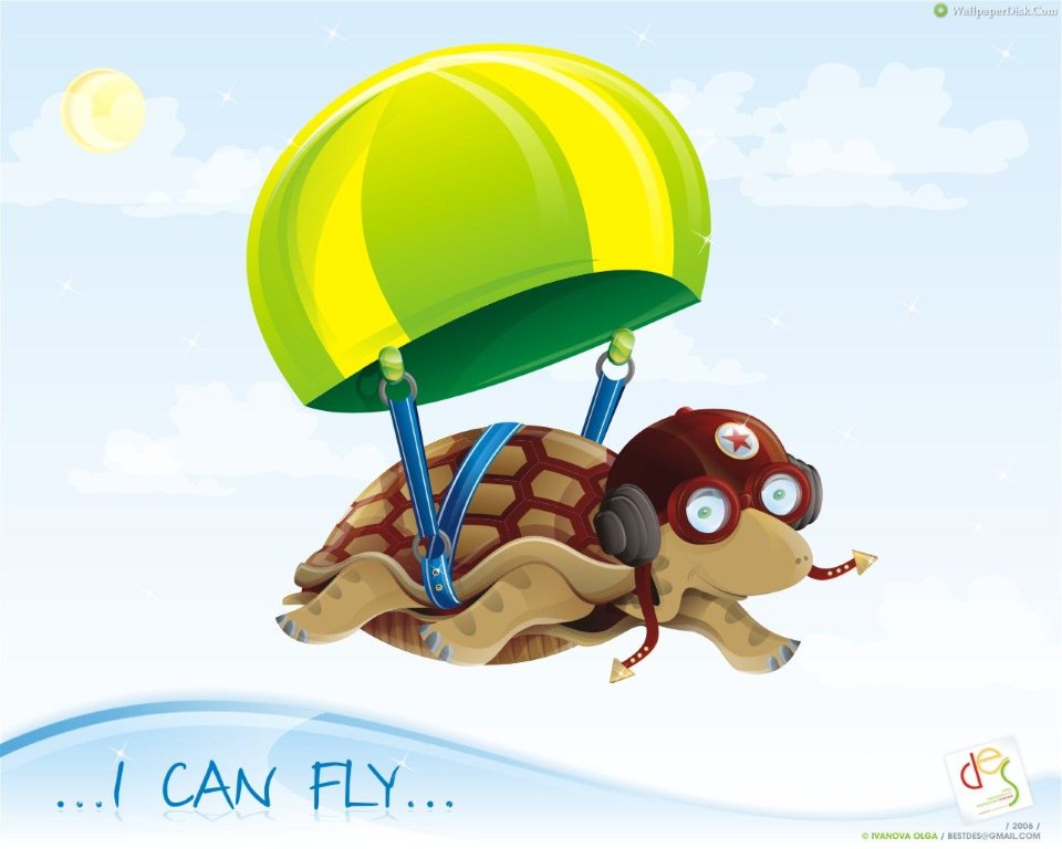 Rùa học bay
