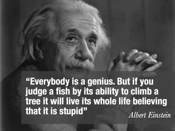 Everybody is a genius - Albert Einstein