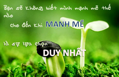 Mạnh mẽ là sự lựa chọn duy nhất